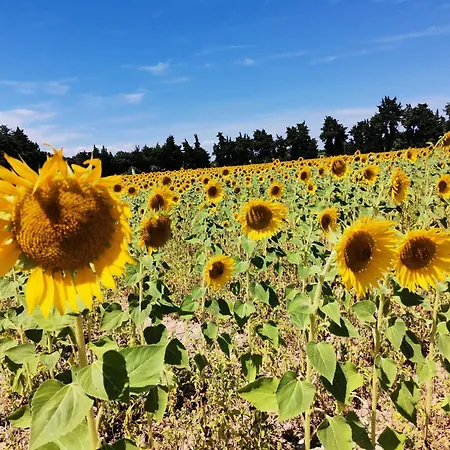 En Provence 