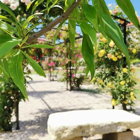 En Provence 